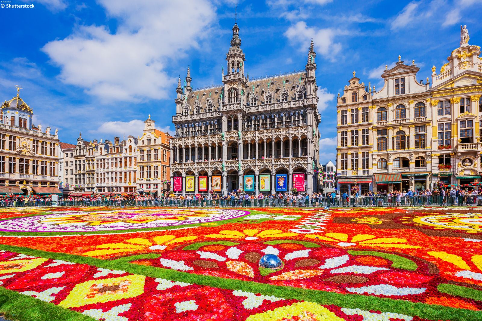La Piccola Comunita' Religiosa Tipica Del Belgio Elite Plus Magazine | National Day Of The Kingdom Of Belgium